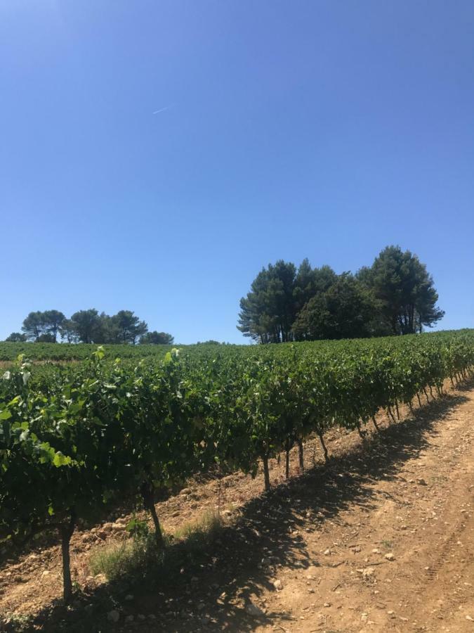 Bastide Bellugue Maison D'Hotes Reseau Bienvenue A La Ferme A 3 Minutes De Lourmarin Cadenet Exterior foto